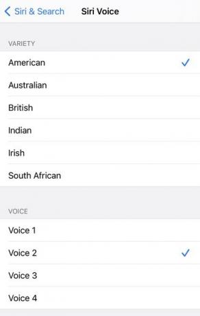Slik endrer du Siris stemme etter installasjon av iOS 14.5-oppdateringen