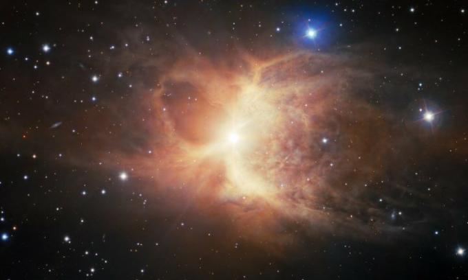 星は伴星を細断して双葉星雲を作り出した