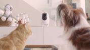 תוספות של Pawbo Plus Pet Cam Sports Treat-Dispensing של Acer
